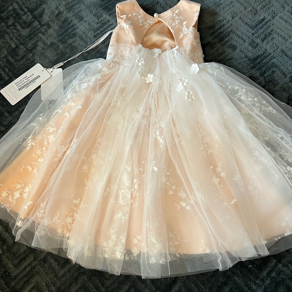 JJs House Other - Flower Girl Dress- JJ’s House, brand new with tags, never been used. So cute!